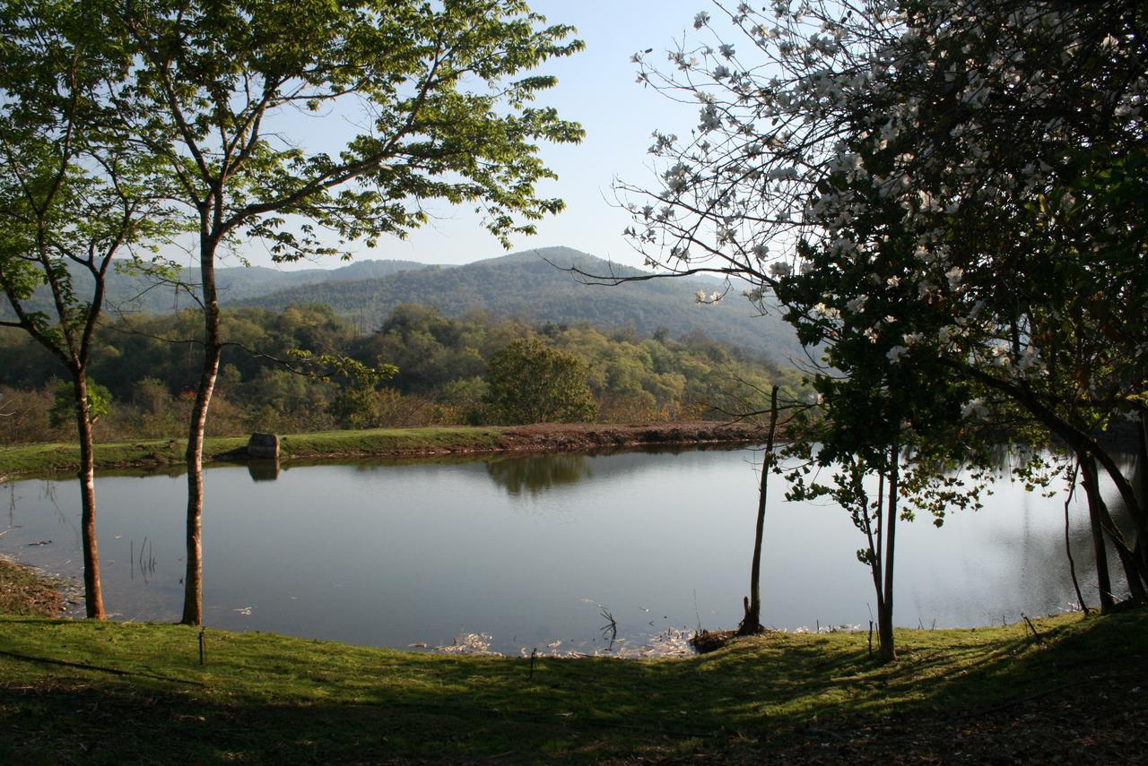 Mountain Creek Lodge Хейзивью Экстерьер фото